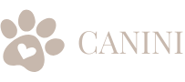 Canini