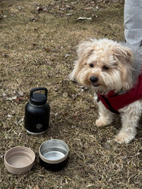 Gourde 4-en-1 Canini avec ses deux bols intégrés pour eau et nourriture