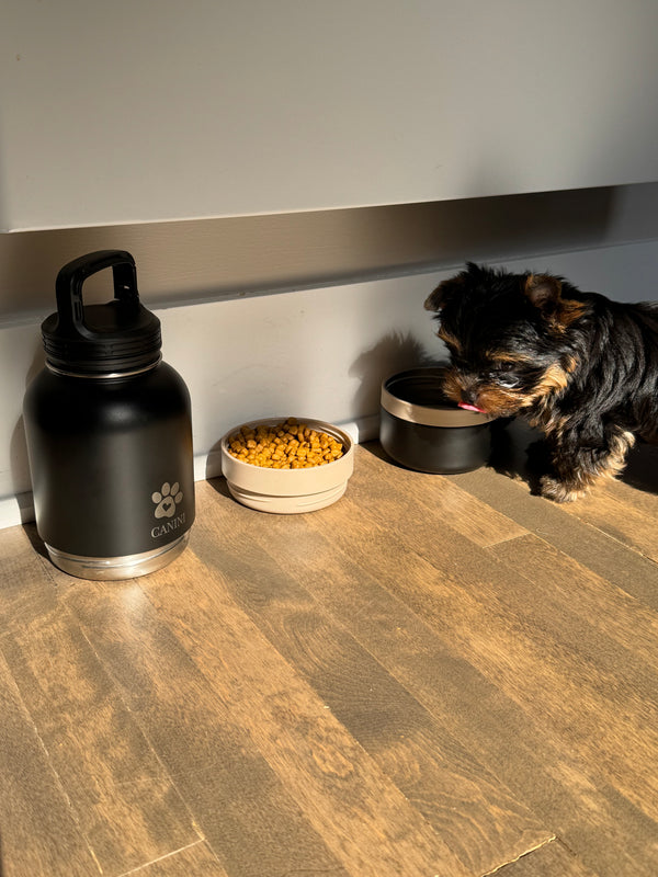 Gourde 4-en-1 Premium pour Chien