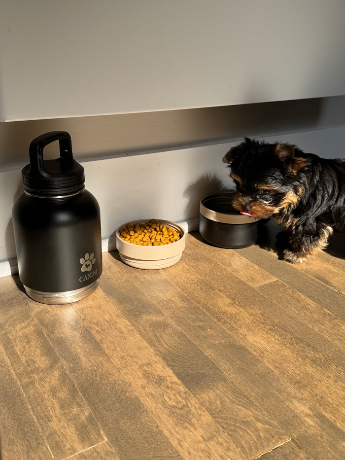 Canini produit