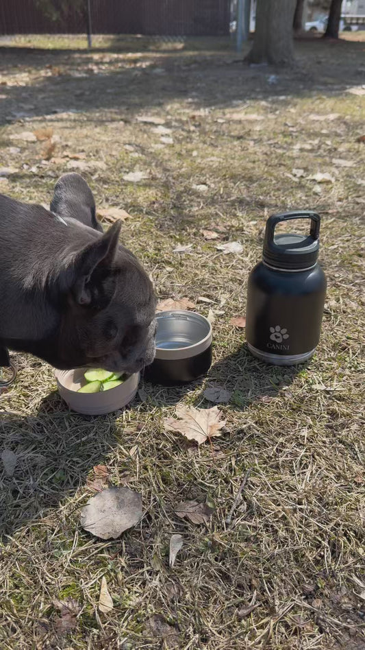 Gourde 4-en-1 Premium pour Chien